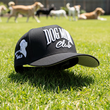 Team DOG