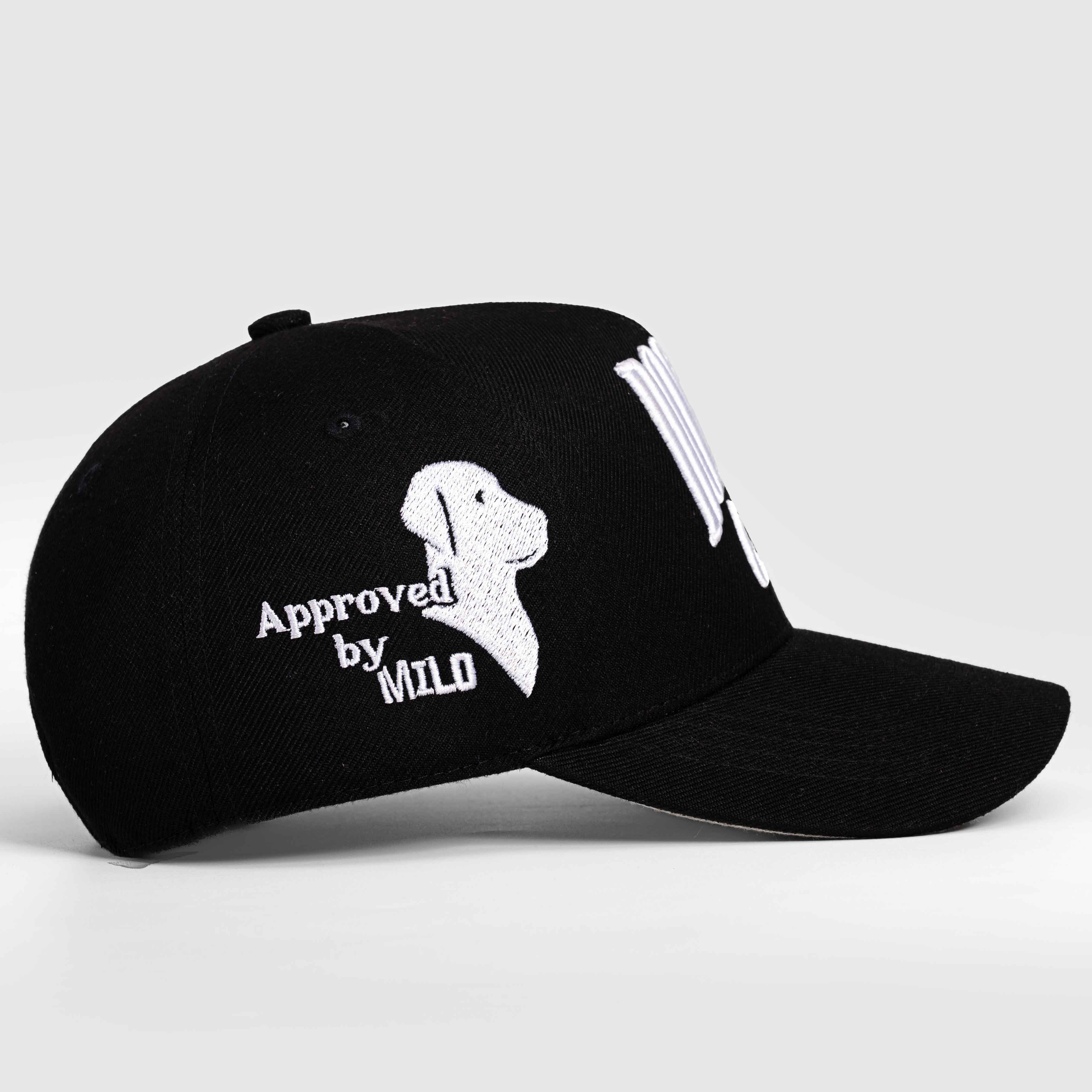 Dog Dad Club Hat - 3D Embroidery