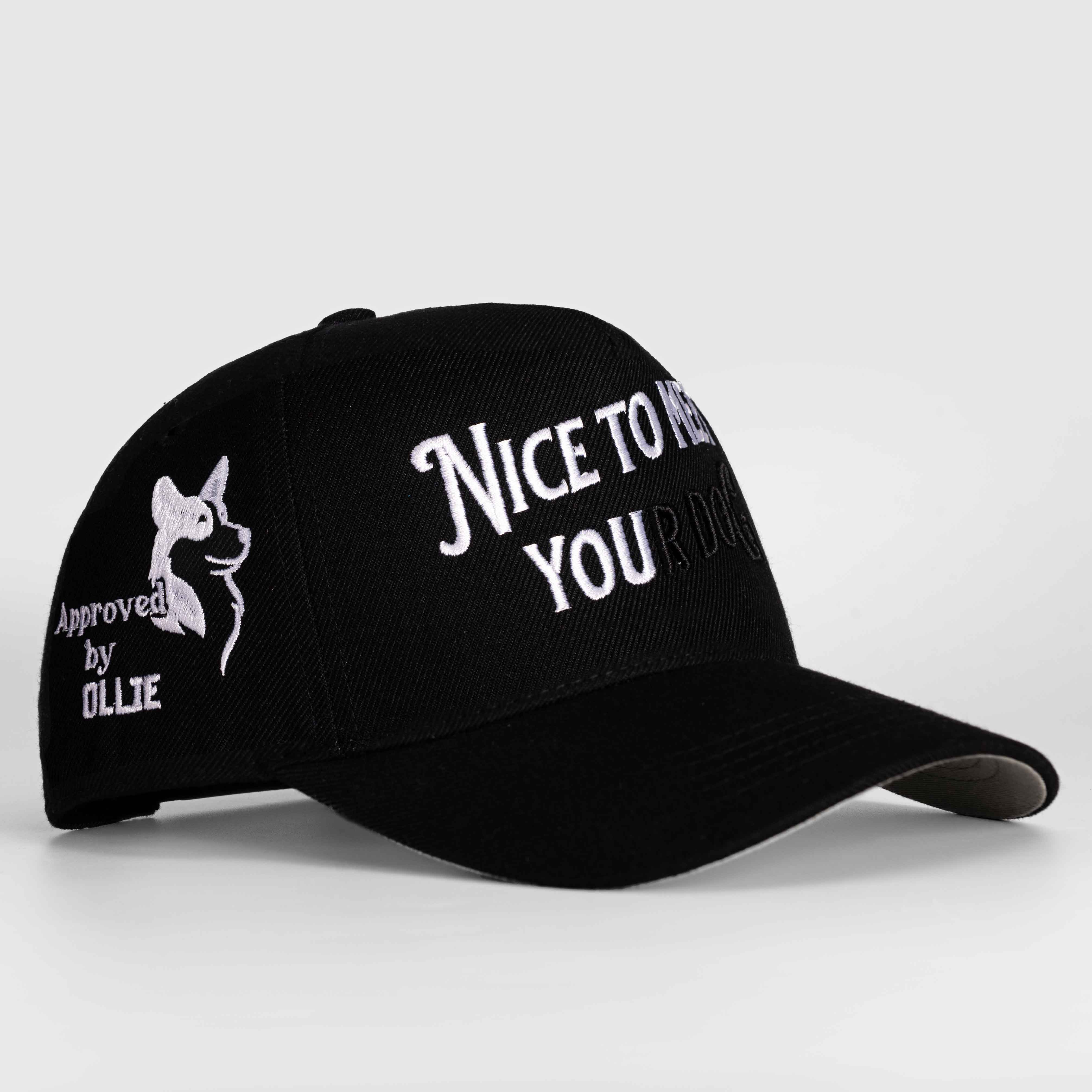 Nice to Meet your Dog Hat - 3D Embroidery