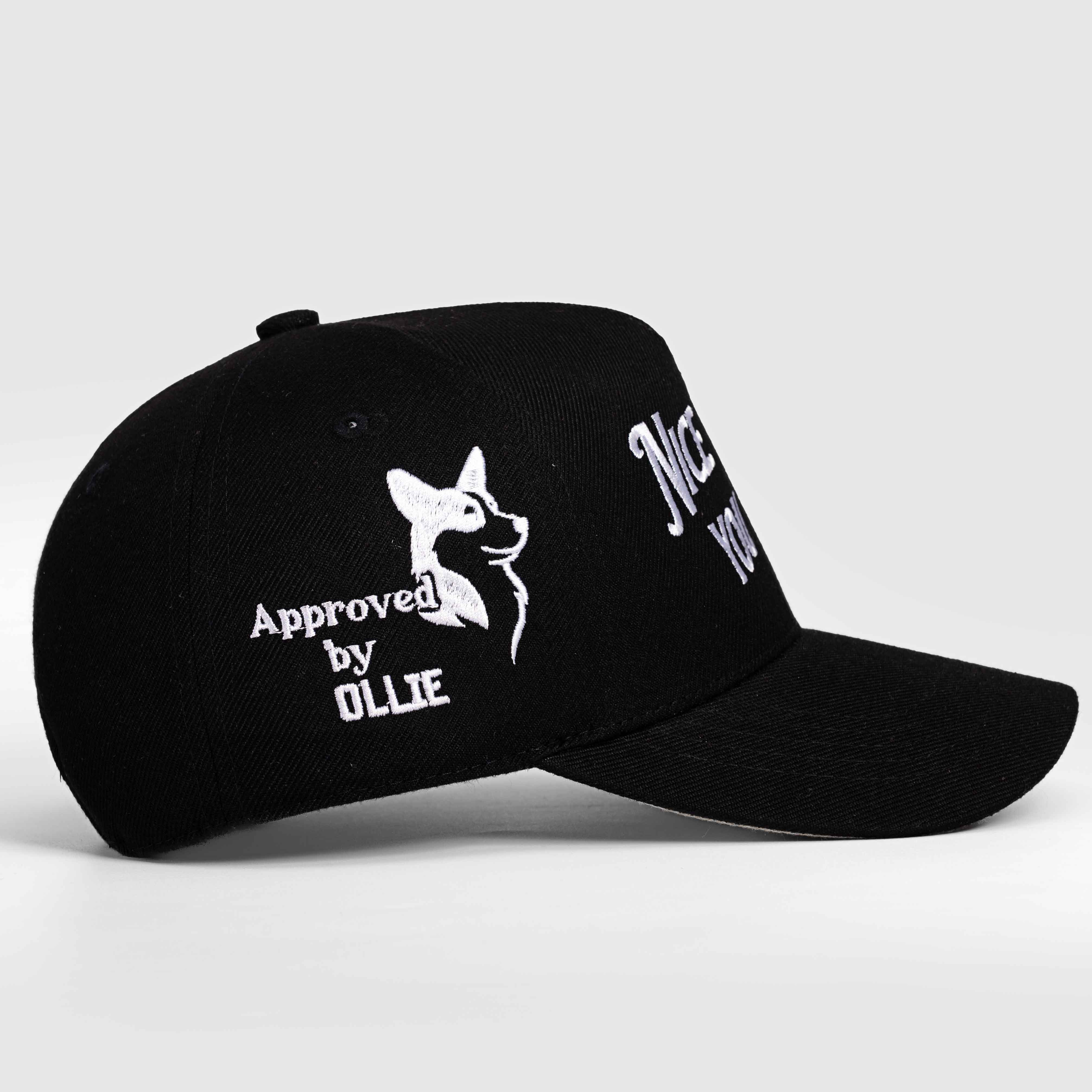 Nice to Meet your Dog Hat - 3D Embroidery