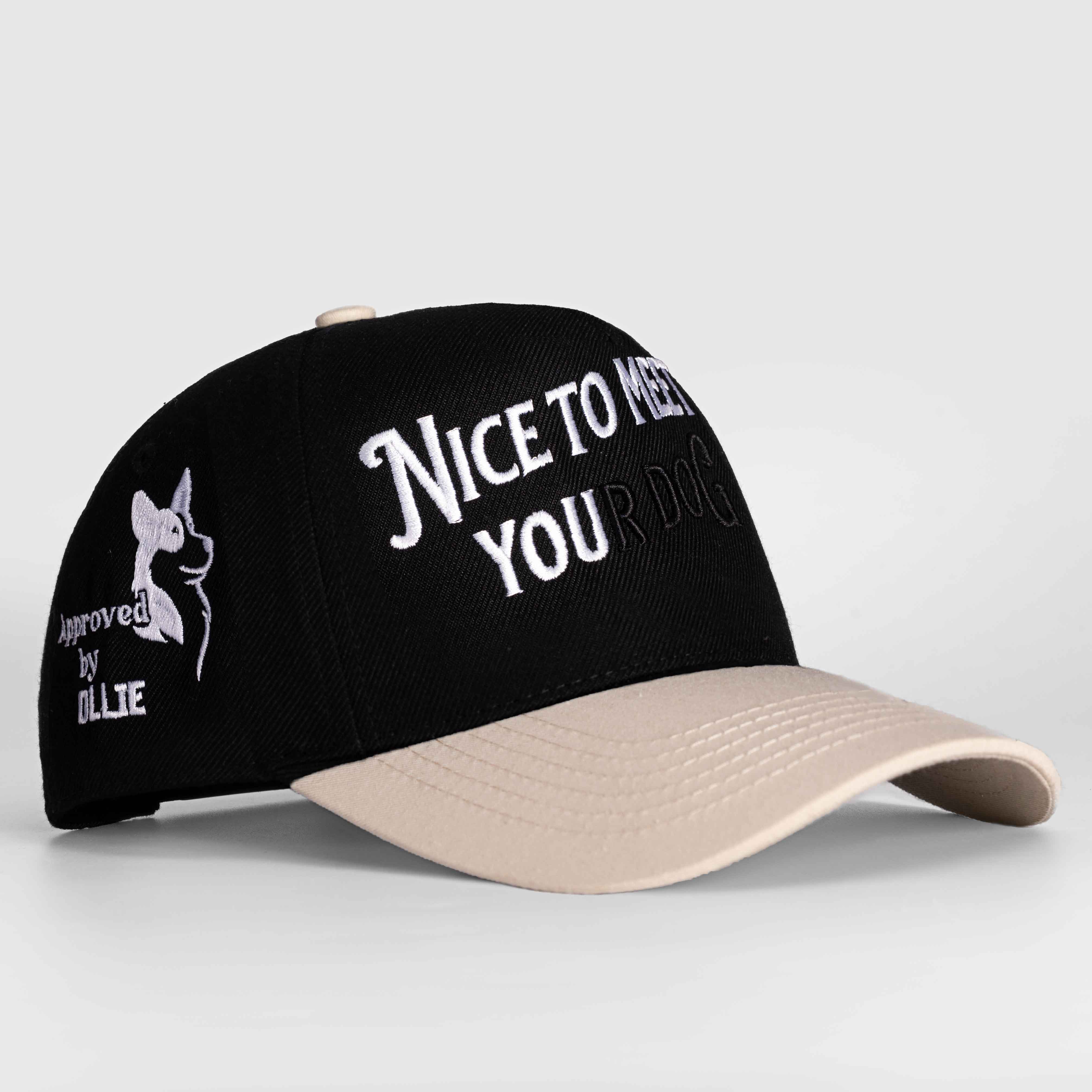 Nice to Meet your Dog Hat - 3D Embroidery