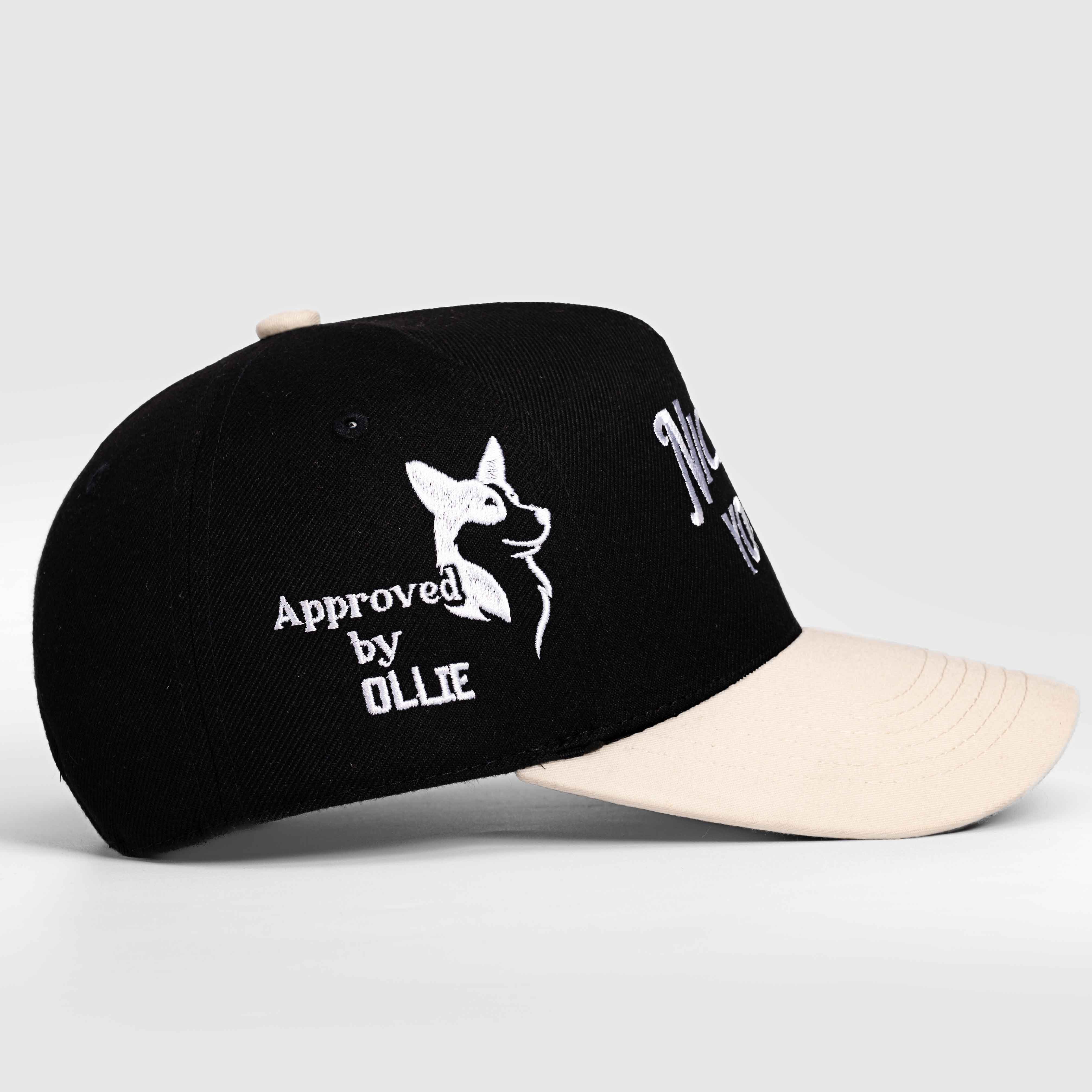 Nice to Meet your Dog Hat - 3D Embroidery