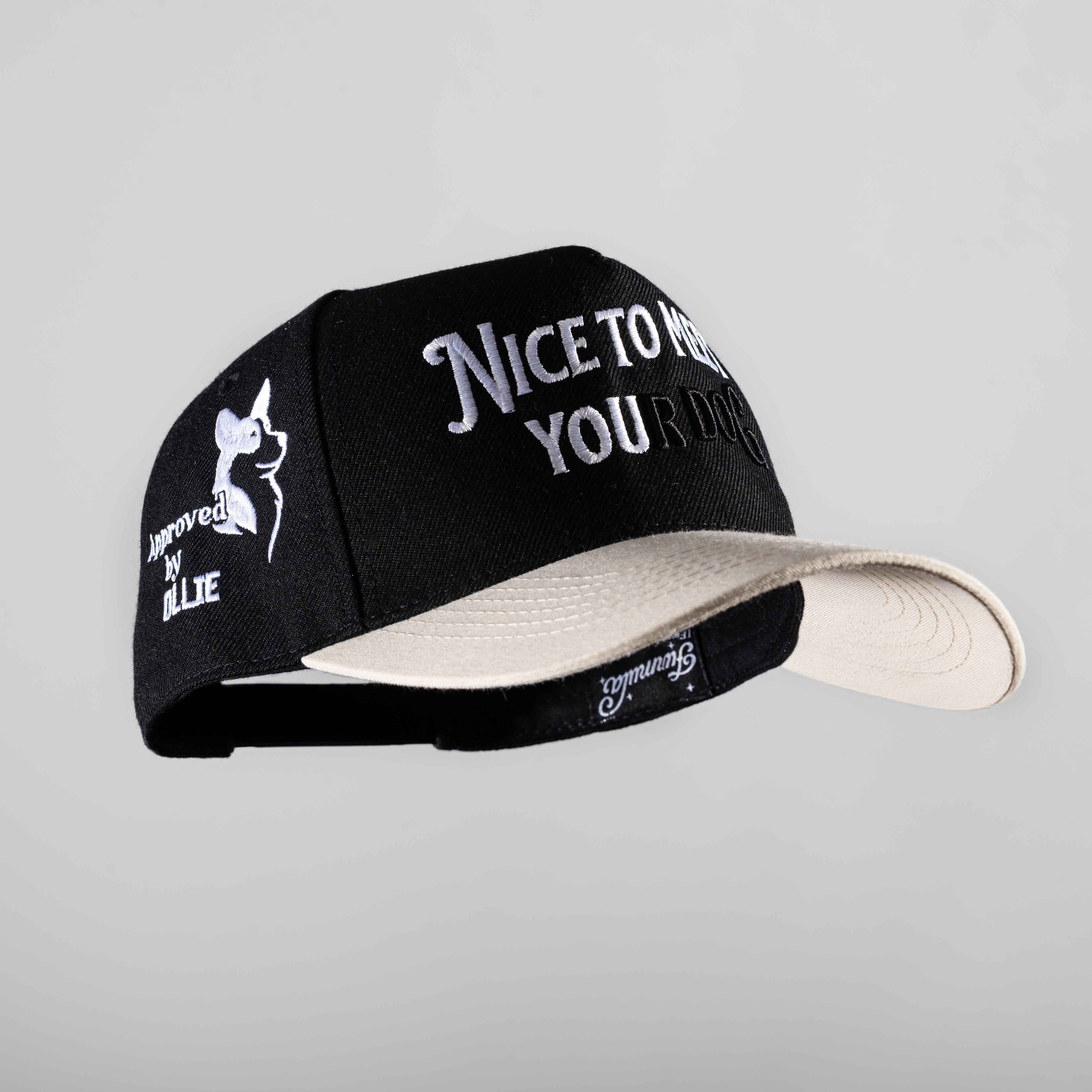 Nice to Meet your Dog Hat - 3D Embroidery