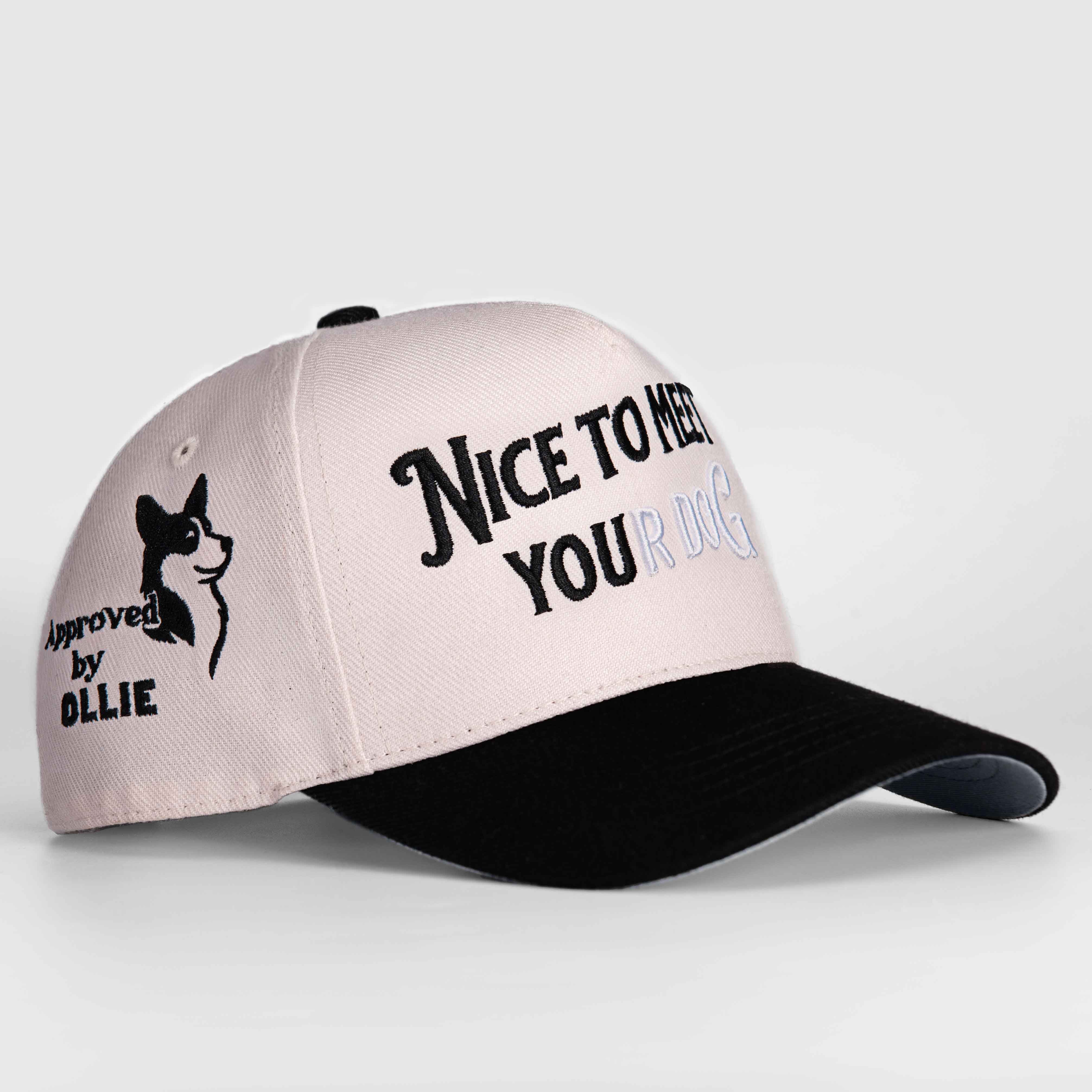 Nice to Meet your Dog Hat - 3D Embroidery