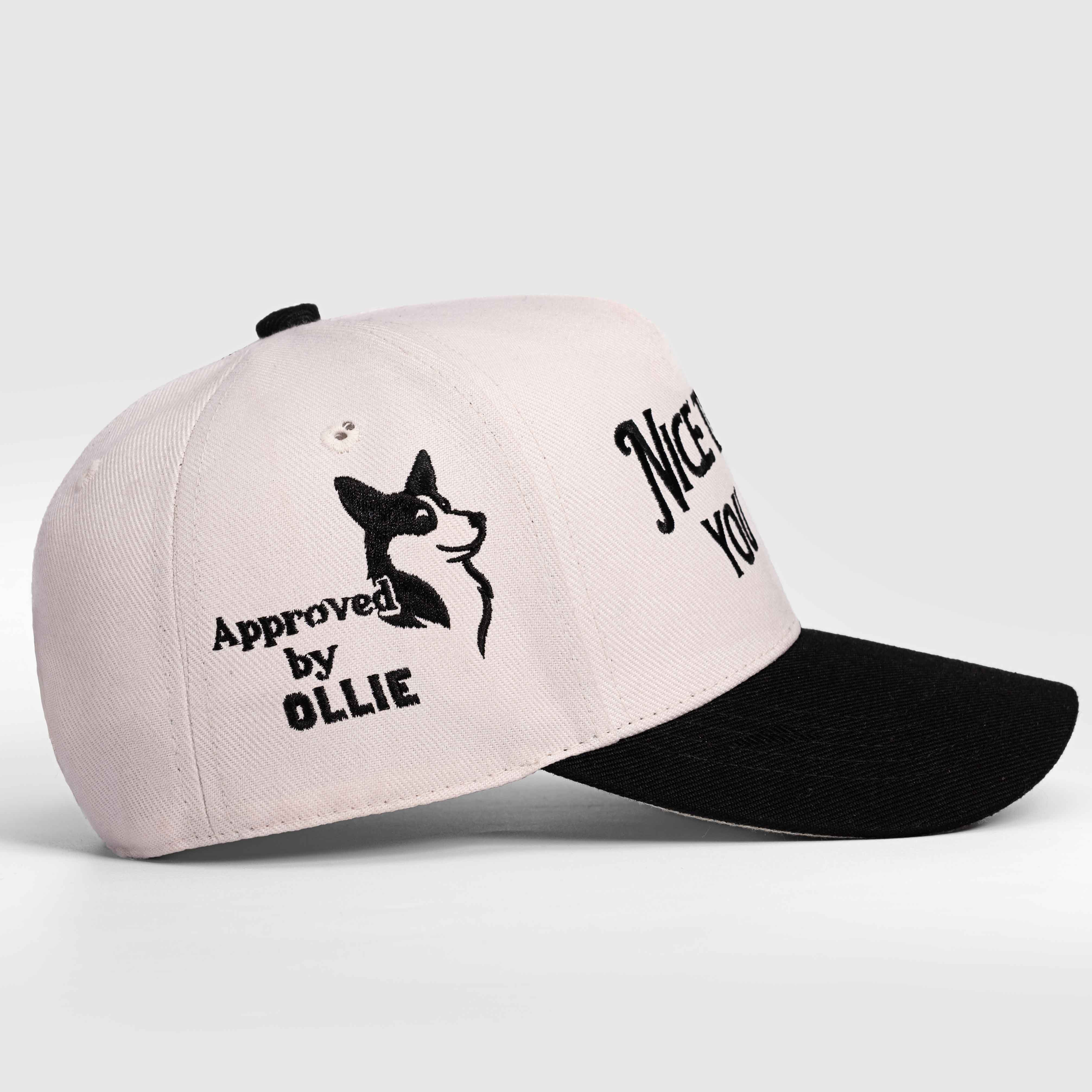 Nice to Meet your Dog Hat - 3D Embroidery