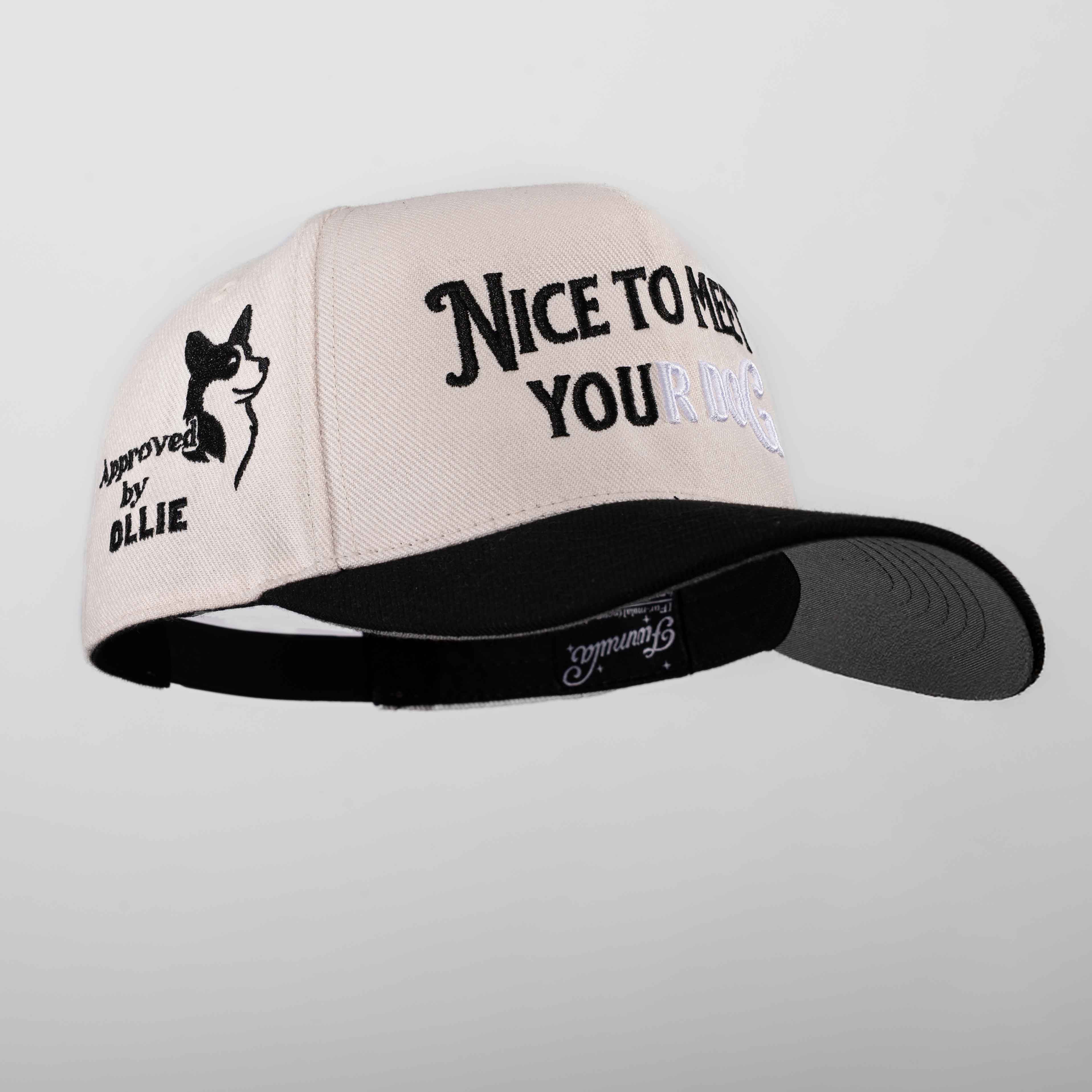 Nice to Meet your Dog Hat - 3D Embroidery