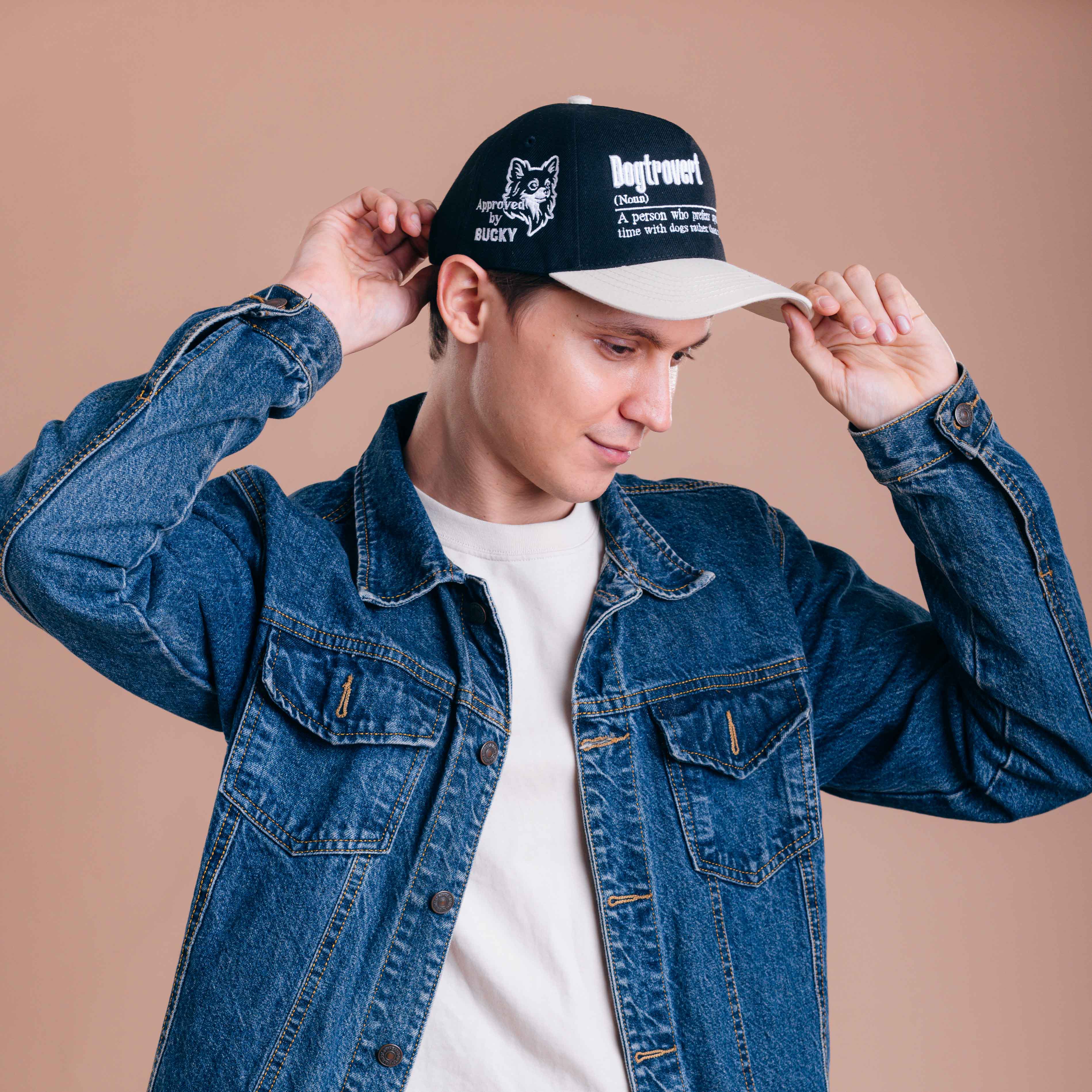 Dogtrovert Hat - 3D Embroidery