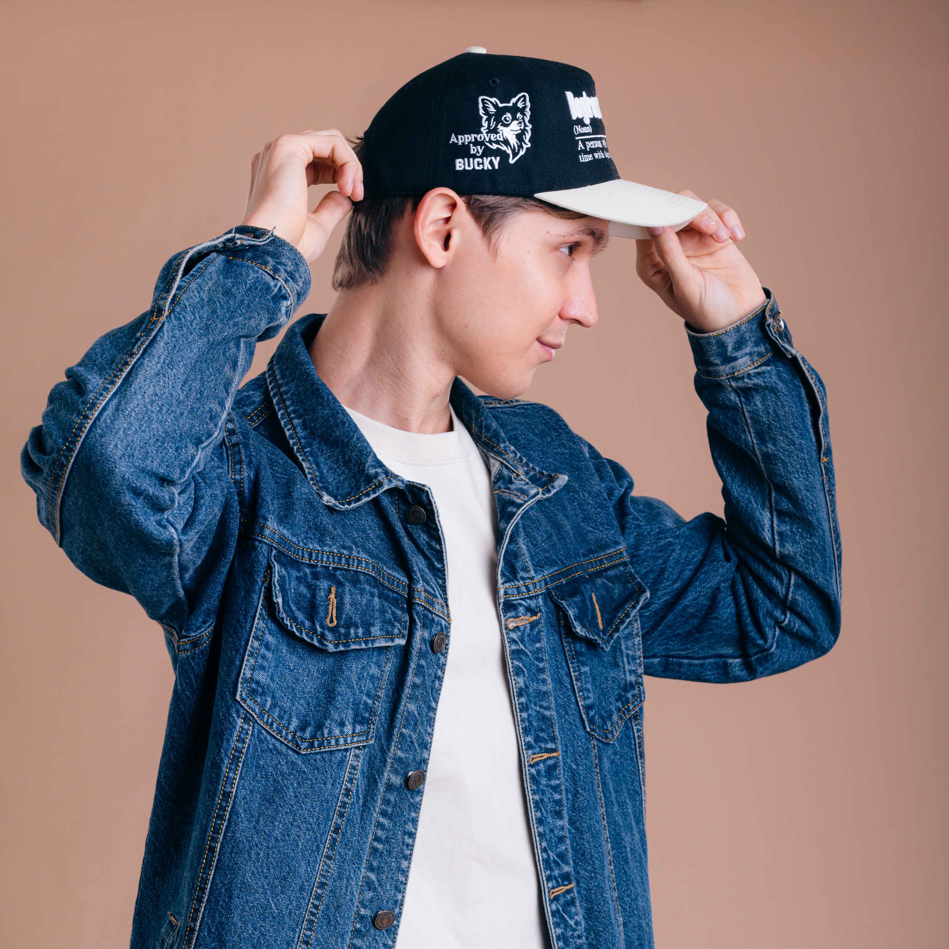 Dogtrovert Hat - 3D Embroidery